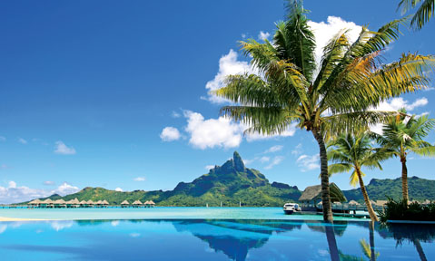 Blue ocean and palm trees are a common part of the scenery on a Tahiti yacht charter